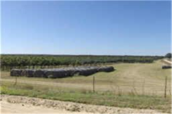 2909 County Road 304, Comanche