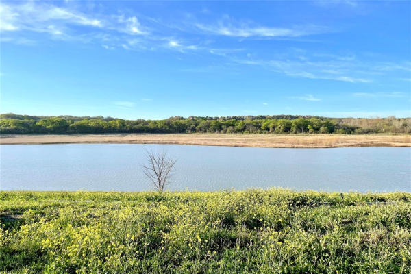 1406 Isle Cove Drive, Arlington