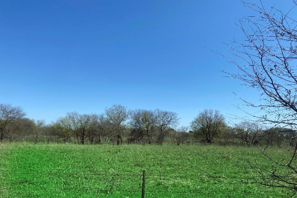 TBD HCounty RD 4411 TBD HCounty RD 4411, Grandview