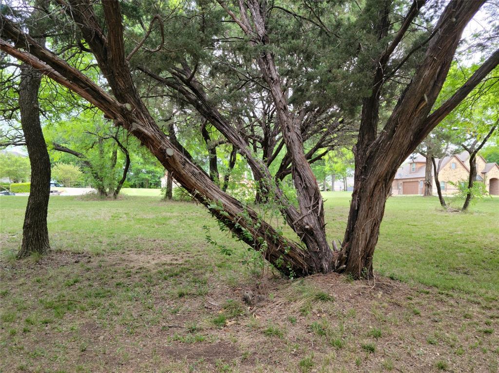 Listing 20041656 - Large Photo # 2