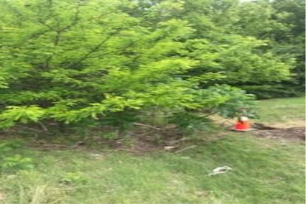 9002 Cedar Circle, Cedar Hill