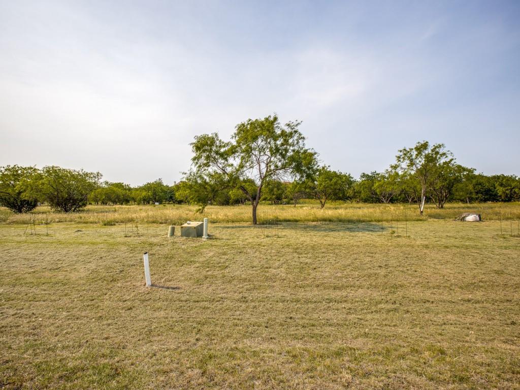 Listing 20054600 - Large Photo # 4