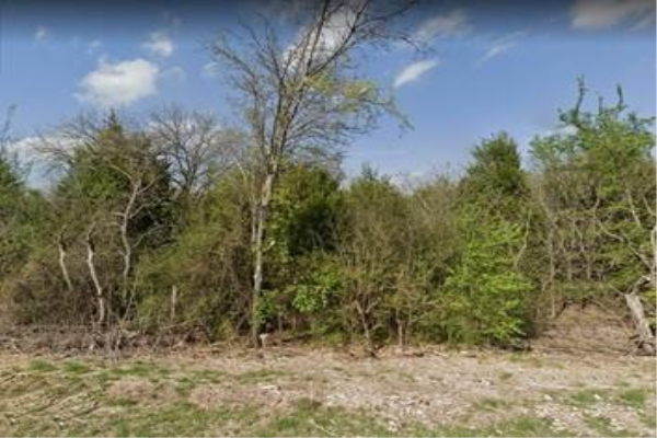 1201 E Fm Road 1382, Cedar Hill