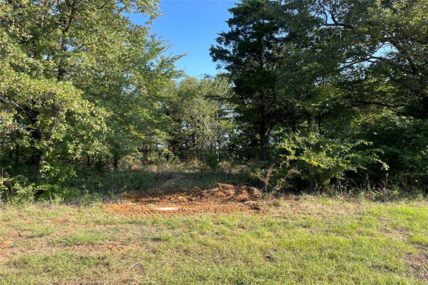 251 Stonewolf Court, Gordonville