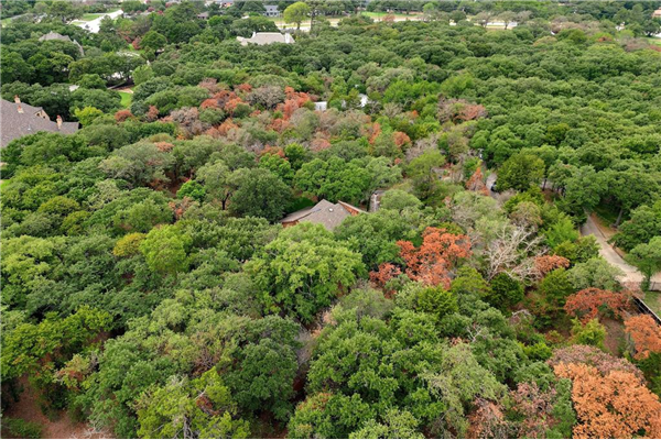 1393 Brown Lane, Southlake