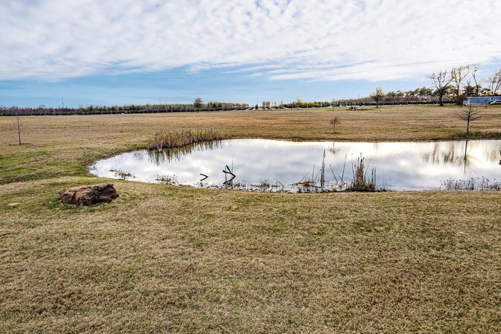 Listing 20246847 - Large Photo # 30