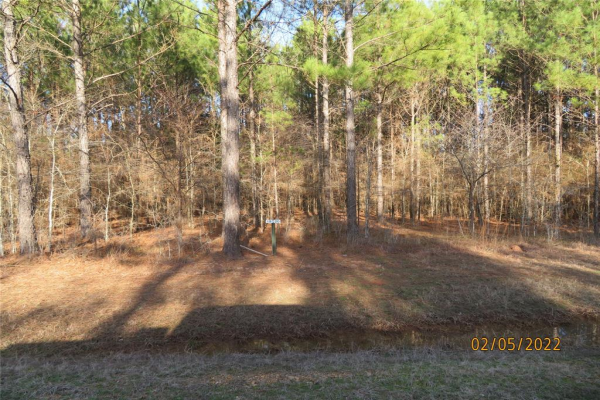 3 Hidden Cove, Lewisville