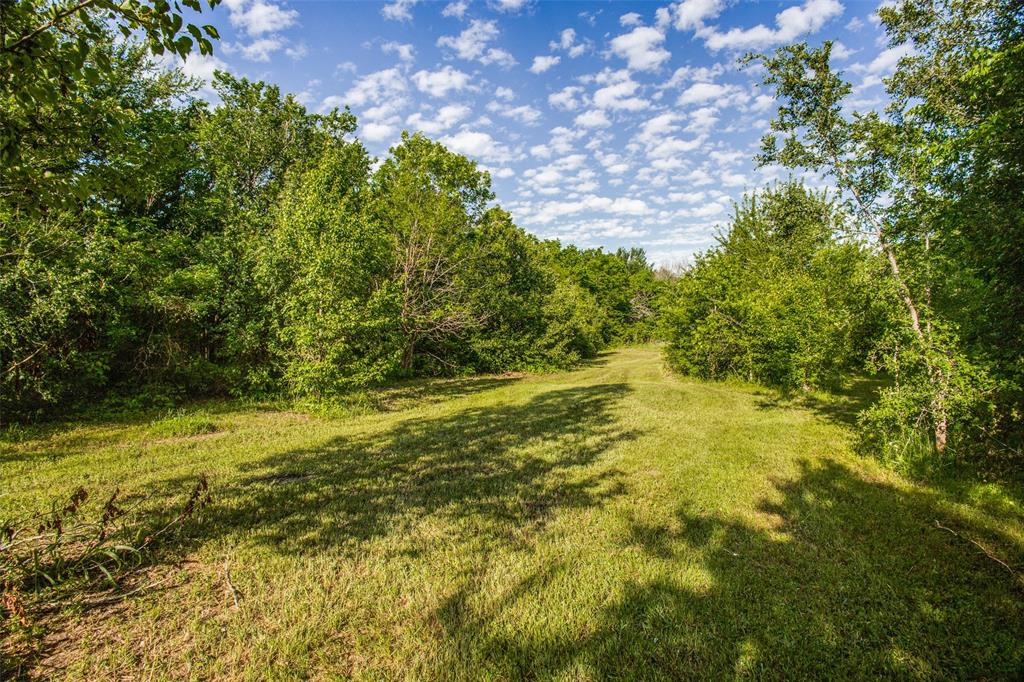 Listing 20254350 - Large Photo # 36