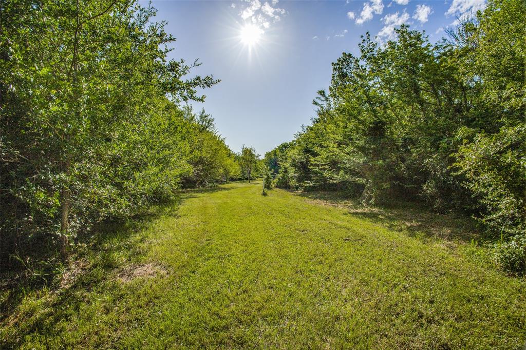 Listing 20254350 - Large Photo # 35