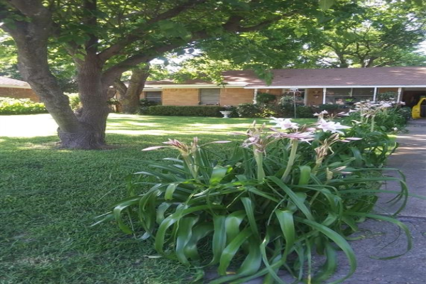 507 E 9th Street, Kemp