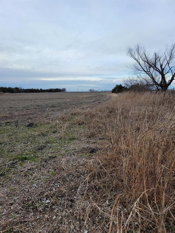 Listing 20273313 - Large Photo # 9