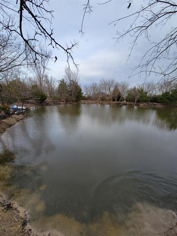 Listing 20273313 - Large Photo # 4