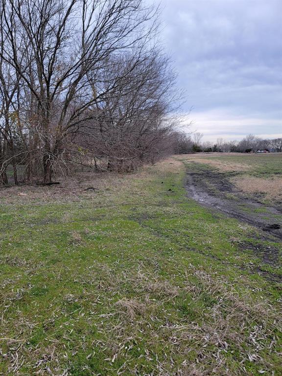 Listing 20273313 - Large Photo # 6