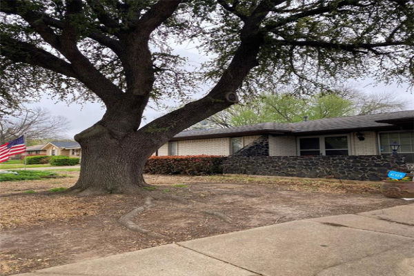 306 Rambling Court, Euless