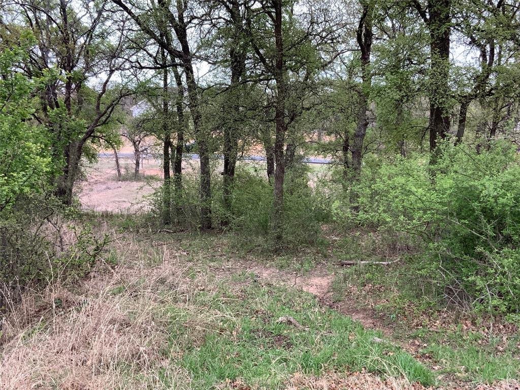 Listing 20280702 - Large Photo # 3