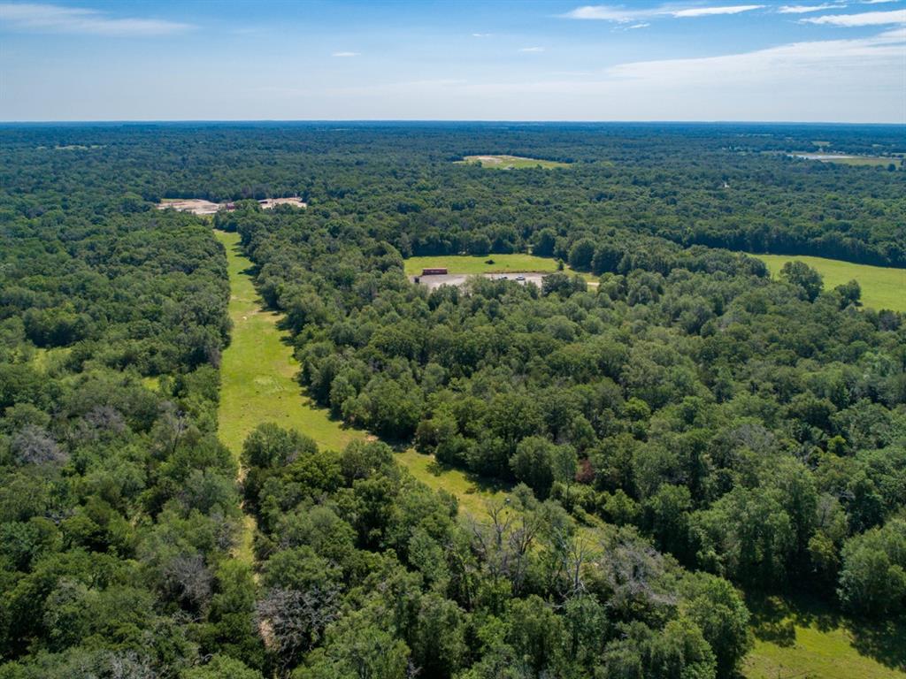 Listing 20339178 - Large Photo # 7