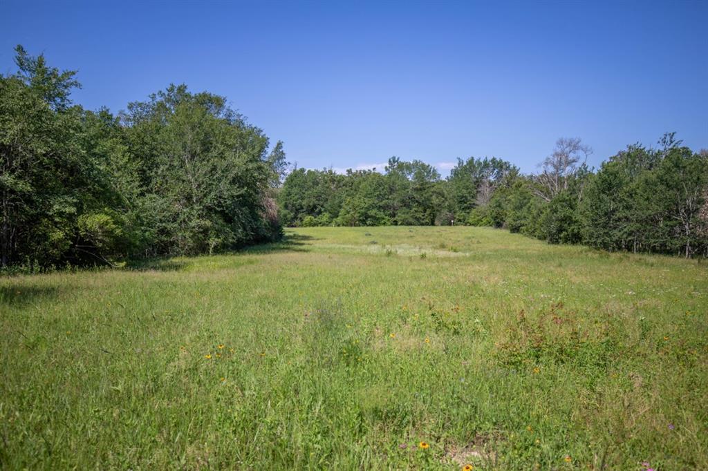 Listing 20339178 - Large Photo # 21