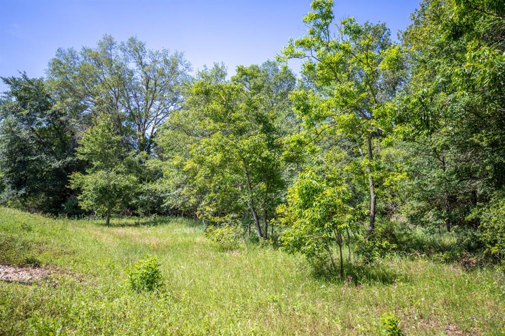 Listing 20339178 - Large Photo # 25