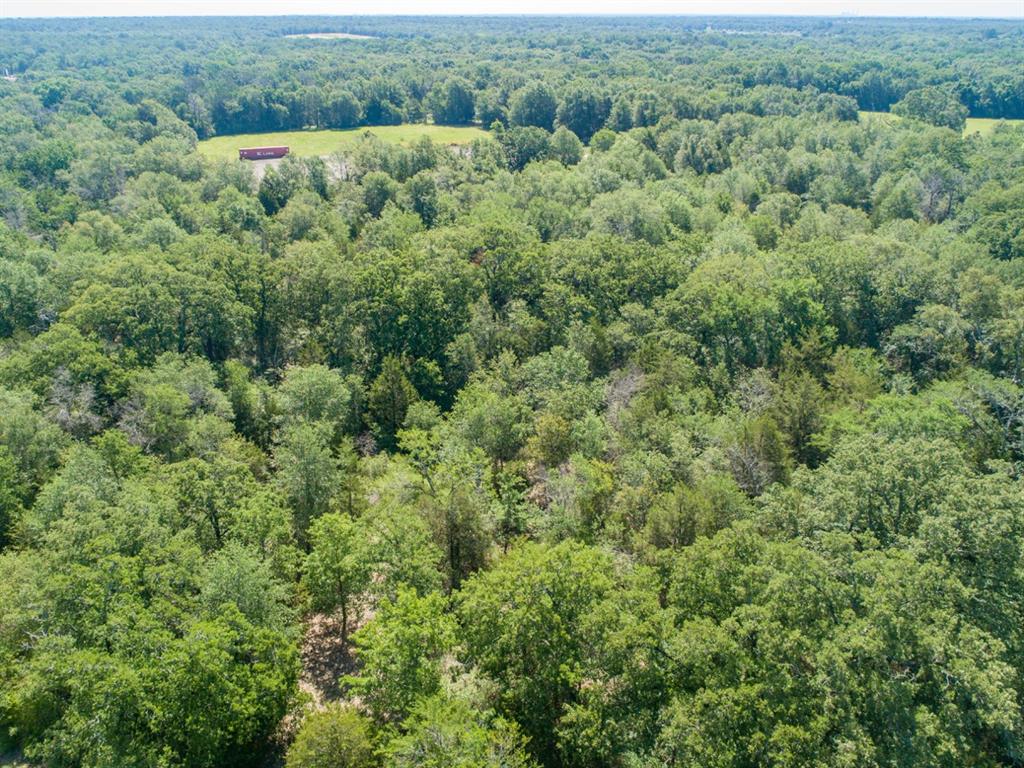 Listing 20339178 - Large Photo # 8