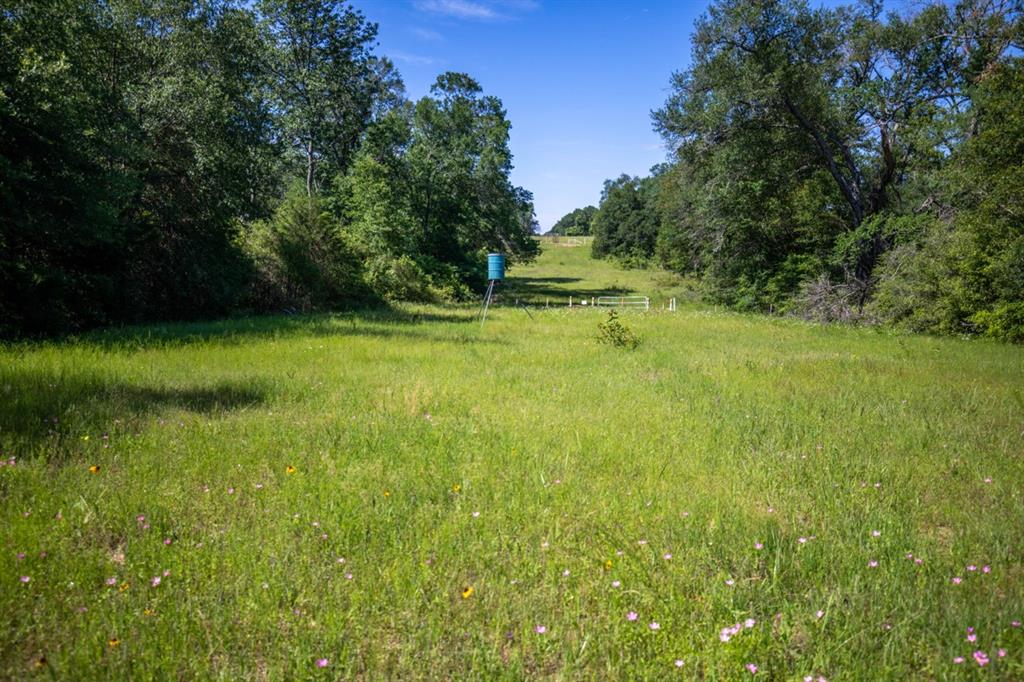 Listing 20339178 - Large Photo # 15