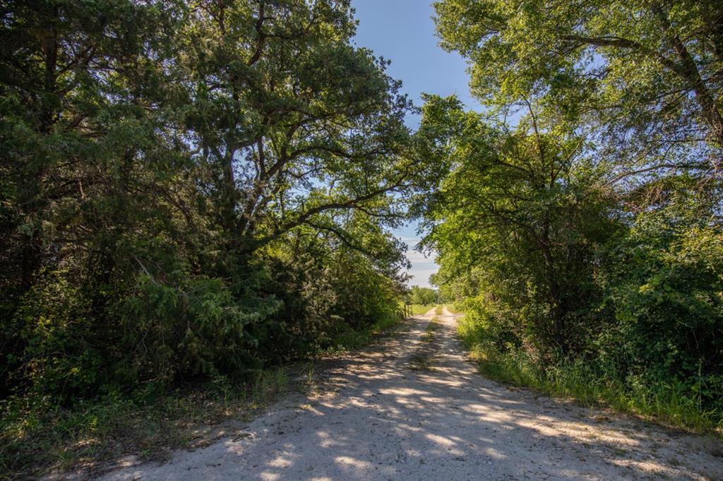 Listing 20339178 - Large Photo # 31