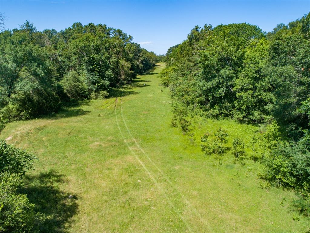 Listing 20339178 - Large Photo # 16