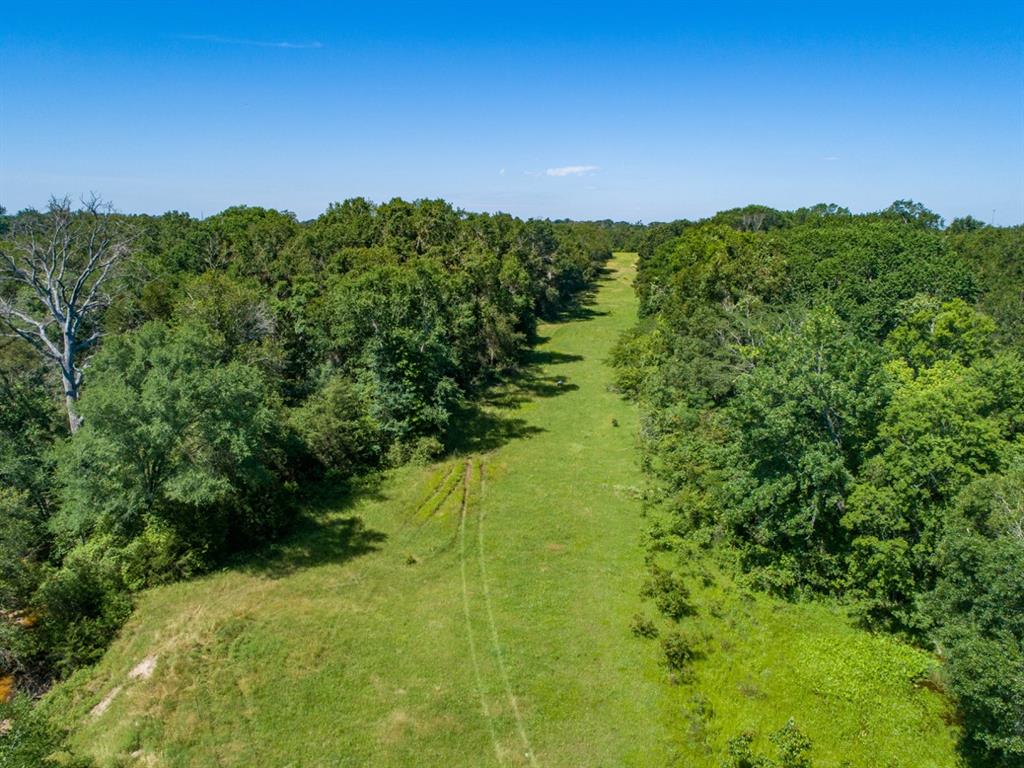 Listing 20339178 - Large Photo # 17
