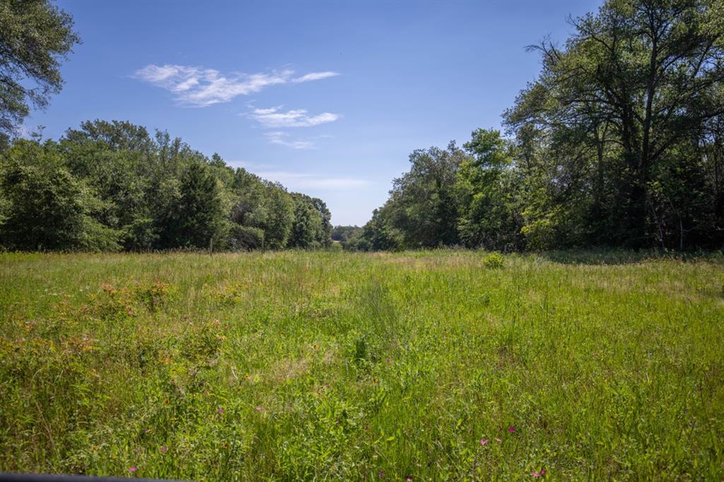 Listing 20339178 - Large Photo # 18