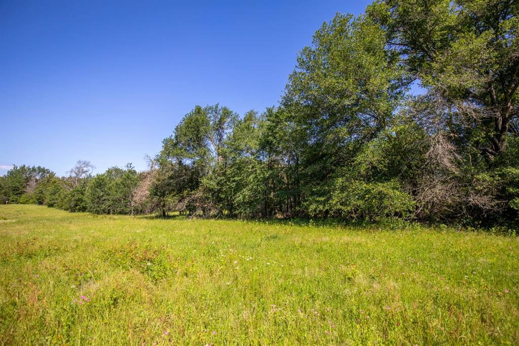 Listing 20339178 - Large Photo # 22