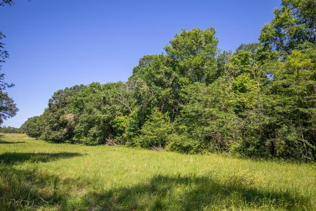 Listing 20339178 - Large Photo # 26