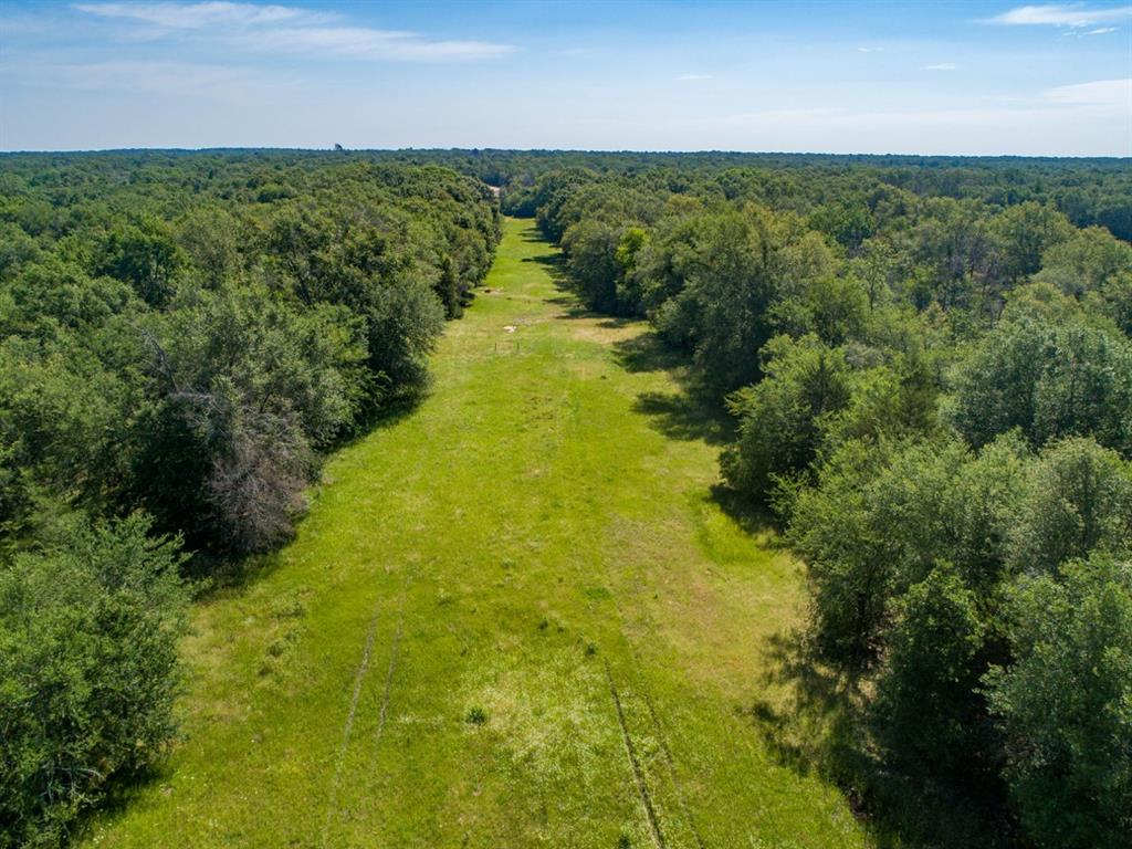 Listing 20339178 - Large Photo # 10
