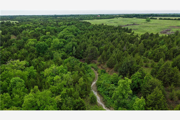 TBD County Rd 2909, Dodd City