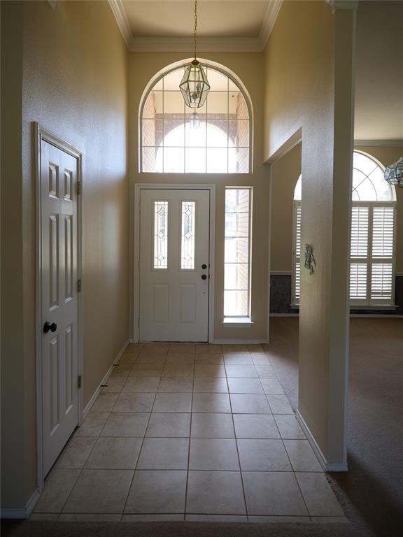 7305 Whitfield Court