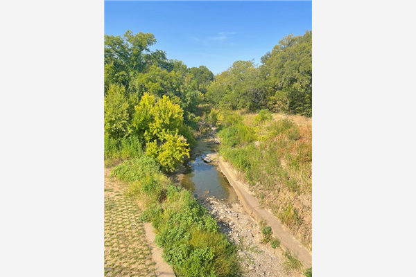 3108 W Pleasant Ridge Road, Arlington