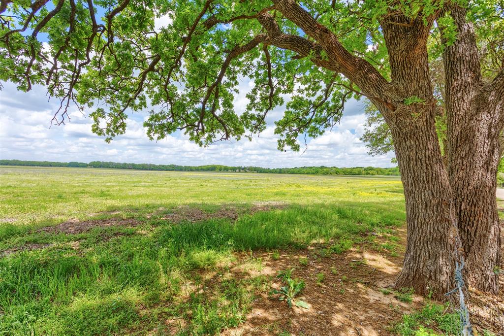 8201 County Road 605A