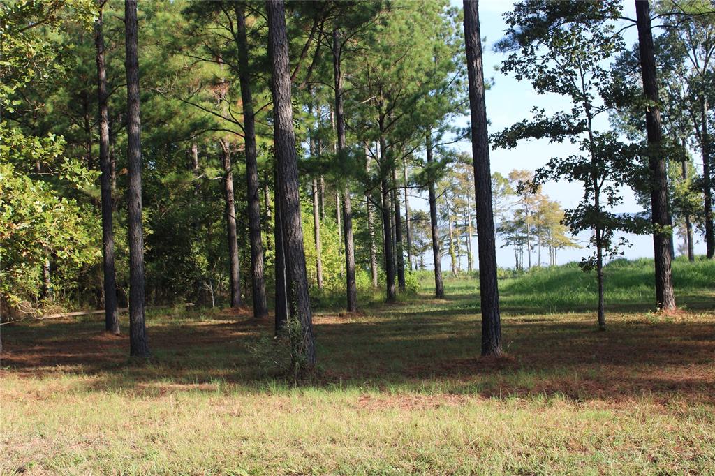 3 N Eagle View