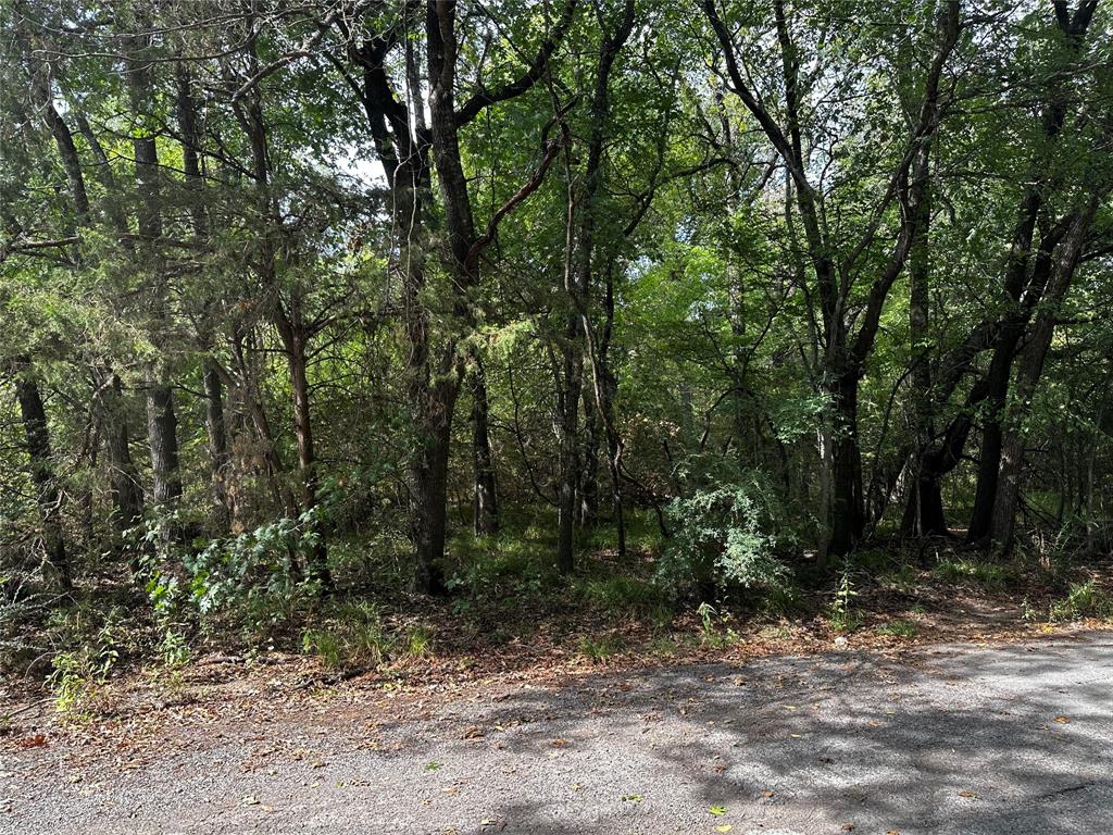12053 Forest Glen Lane