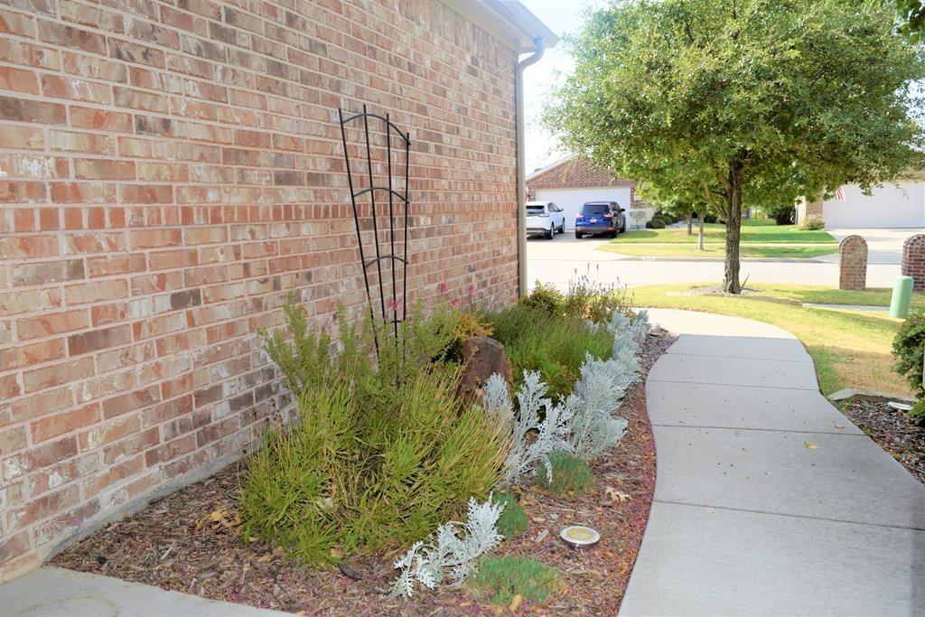 212 Montague Lane
