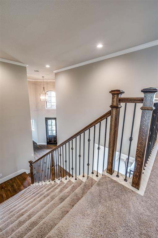 3104 Orleans Drive