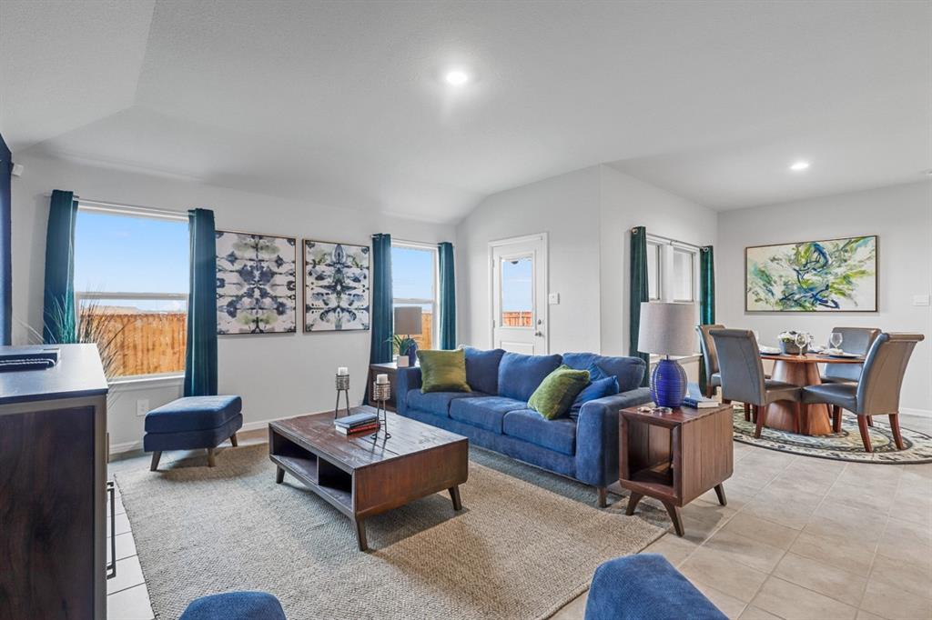 9616 MOUNTAIN MINT Drive