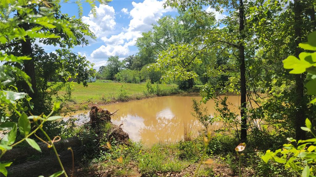 127 County Road 323