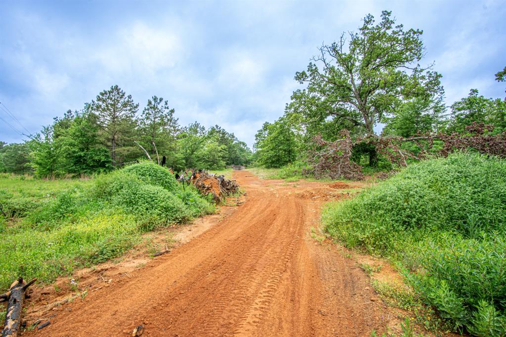 127 County Road 323
