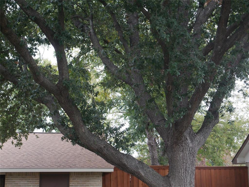 306 Birchwood Drive