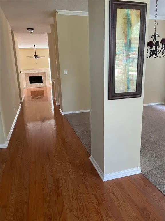 11317 Knoxville Lane