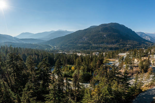 9301 STELLARS WAY, Whistler