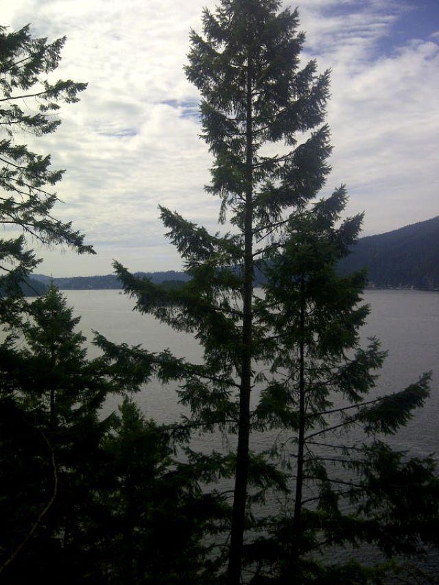 LOT 2&3 INDIAN ARM, #LOT 2&3