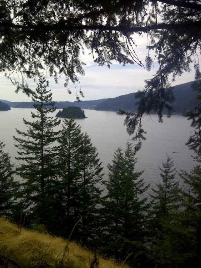 LOT 2&3 INDIAN ARM, #LOT 2&3
