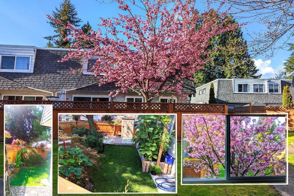 30 21555 DEWDNEY TRUNK ROAD, Maple Ridge