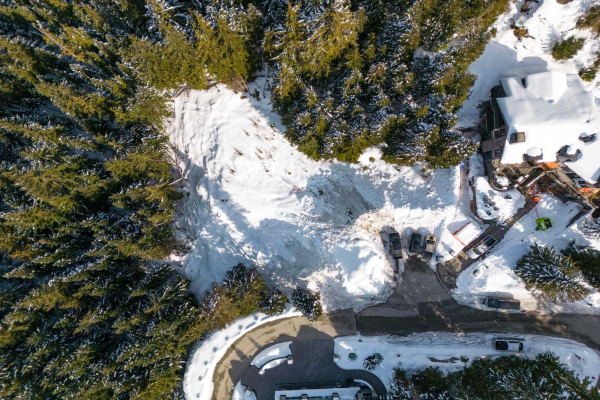 2928 BIG TIMBER COURT, Whistler