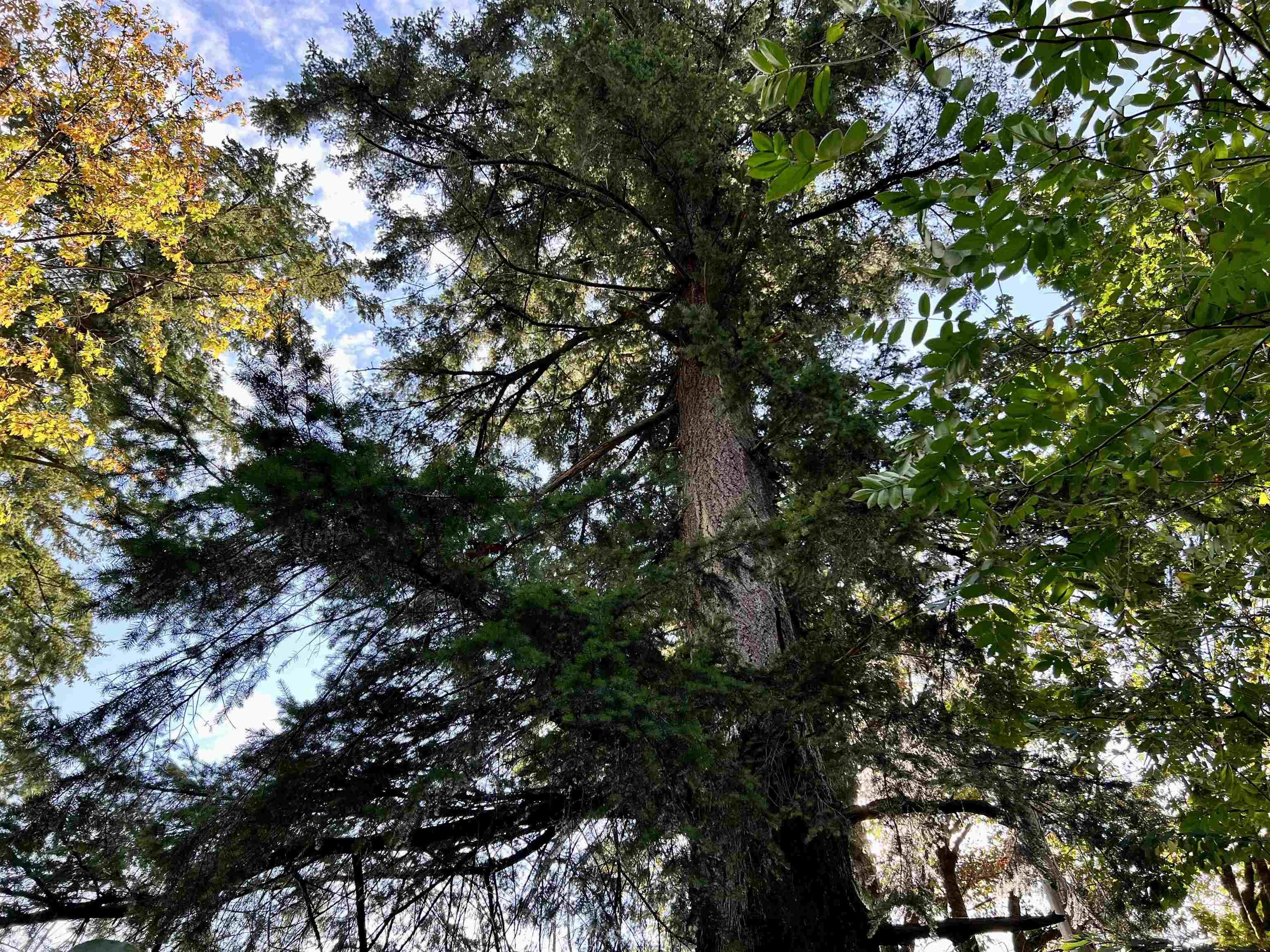 Listing R2764205 - Large Photo # 20